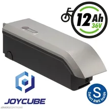 Phylion Akku Joycube SF-06 36V 11,6Ah