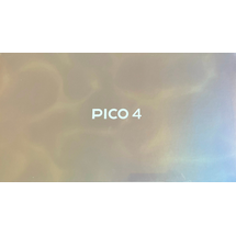 pico interactive Pico 4 256 GB VR-Brille