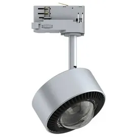 Paulmann ProRail3 LED Schienenspot Aldan 539lm 8,5W 3000K dimmbar 230V Silber/Schwarz