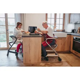 SALJOL Wohnraumrollator 1 St