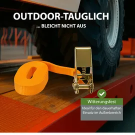 Trutzholm Spanngurt 6 m 800 kg