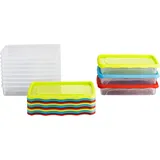 Kigima Gefrierdosen 12x0,5L Flach Blau/Grün/Rot – Vorratsdosen mit Deckel luftdicht – Transparente Frischhaltedosen mit Deckel – Aufbewahrungsbox Küche für Mealprep & Organisation – Austrian Quality