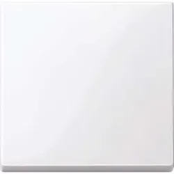 Merten Wippe aws/gl 432125