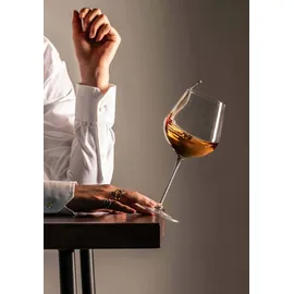 Schott Zwiesel VUELO Rotwein- und Weißweinglas 0,4 l 8-tlg.