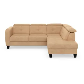 sit&more Ecksofa SIT & MORE "Belluci L-Form", braun (macciato), B:249cm H:85cm T:195cm, Sofas, Ecksofa, inklusive Federkern, wahlweise mit Bettfunktion und Bettkasten