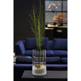 LEONARDO Vase Novara 26 cm Glas Transparent Klar M (Medium)
