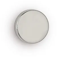 Maul Neodym-Scheibenmagnet, 20 mm, Haftkraft: 6,2 kg, 4 St.
