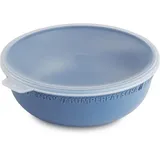 Rotho Schüssel mit Deckel 350ml, blau