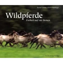 Dülmener Wildpferde