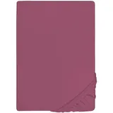 biberna Spannbettlaken Jersey-Elasthan 120 x 200 - 130 x 220 cm lila
