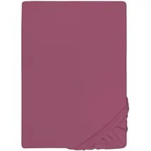biberna Spannbettlaken Jersey-Elasthan 120 x 200 - 130 x 220 cm lila