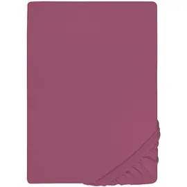 biberna Spannbettlaken Jersey-Elasthan 120 x 200 - 130 x 220 cm lila