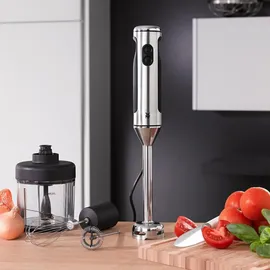 WMF Lineo 4 in 1 Stabmixer