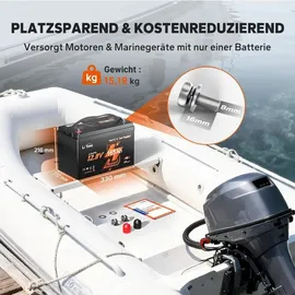 litime 12V 165Ah Dual-Purpose LiFePO4-Batterie mit Bluetooth 2,00 kWh