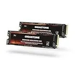 Gigastone HPC Computing M.2 SSD 2TB (2er-Pack) PCIe 4.0 NVMe SSD 5,000MB/s Host Speicherpuffer Cache beschleunigt Geschwindigkeitskodierung Big Data Intensive Arbeitslasten internes
