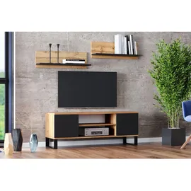 raumhirsch furniture Focus Lowboard 40x49x135 cm Schwarz Holz