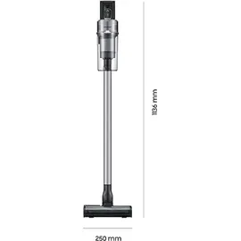 Samsung Jet 75 pet extra VS20T7562R5 silber