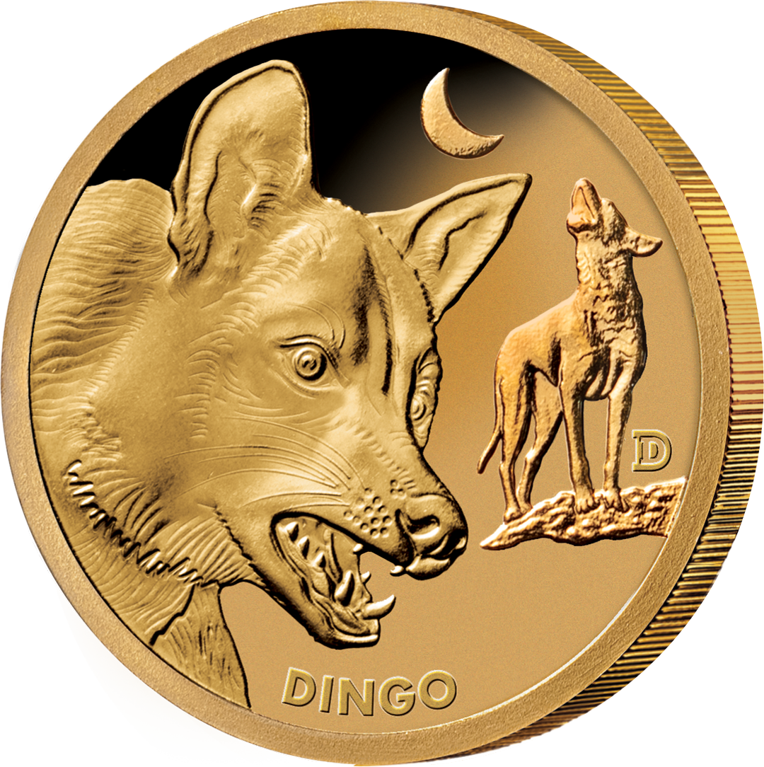 Australians Deadly & Dangerous Gold Collection 'Dingo'