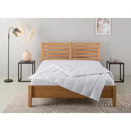 OTTO home Daunenbettdecke OTTO HOME "Moulle, Bettdecke 135x200 cm und 155x220 cm", weiß, B:135cm L:200cm, Bezug: 100% Baumwolle. Füllung: 90% Daunen, 10% Federn, Bettdecken, Bettdecken, Sommer oder Winter, Decke, Made in Germany, atmungsaktiv