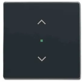 Busch-Jaeger Wippe 1-f Symbol Jalousie 6232-10-81