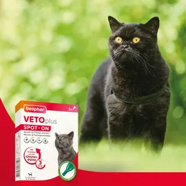 beaphar VETOplus SPOT-ON Ungezieferschutz für Katzen 3 x 1 ml