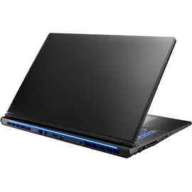 Captiva Advanced Gaming I94-356GE 17,3'' Intel Core i7-13620H 64 GB RAM 2 TB SSD RTX 5060 Win11 Pro