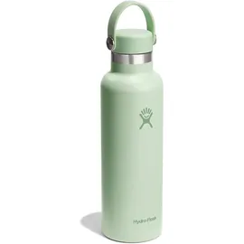 Hydro Flask Standard Mouth Flex Cap Aloe