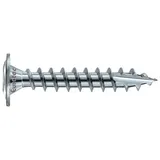 Eurotec Schieferschrauben TX20 Tellerkopf Edelstahl 4,0 x 30 mm 500 Stück