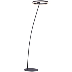 LED Stehlampe anthrazit farbig schwenkbar dimmbar Lichtring warmweiß Licht
