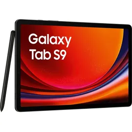 Samsung Galaxy Tab S9 11.0'' 256 GB Wi-Fi Graphite