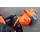 Husqvarna 555 RXT