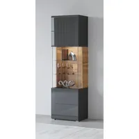 INOSIGN Vitrine »Toledo,Höhe 204 cm trendige Glasvitrine mit dekorative