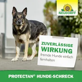 NEUDORFF Protectan Hunde-Schreck Granulat 200 g