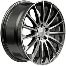 wheelworld-2drv WH39 8,5 x 19 5 x 112 ET45 MB66,6 Grau Hochglanzpoliert