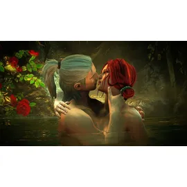 The Witcher 2: Assassins of Kings (Software Pyramide) (PC)