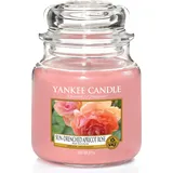 Yankee Candle Sun-Drenched Apricot Rose mittelgroße Kerze 411 g