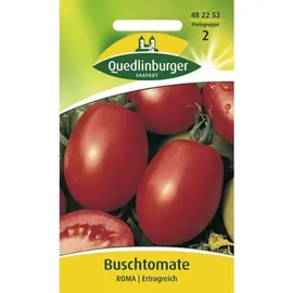 Quedlinburger Buschtomate Roma