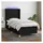 vidaXL Boxspringbett 100 x 200 cm Schwarz