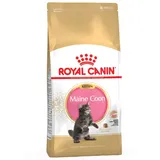 Royal Canin Kitten Maine Coon