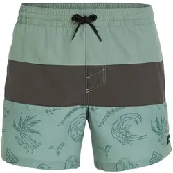 ONEILL Badehose MIX & MATCH CALI BLOCK 15 SWIM, Green Vintage Surfer, S