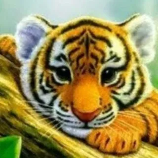 Diamond Painting Mini - Tigerbaby