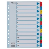 Esselte Ordnerregister Vollformat 1-12 farbig 12-teilig, 1 Satz