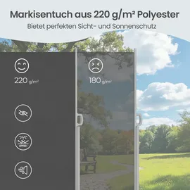 Songmics Seitenmarkise 180 x 400 cm grau Eisen
