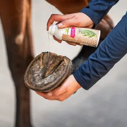 B & E Strahl- & Hufpflegespray - 200 ml - Strahl- und Hufpflege von Pferden