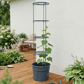 Prosperplast Tomatentopf Ø 34,5 cm Rot