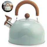 3L Wasserkessel, Edelstahl Teekessel Retro Alle Herdarten, Flötenkessel Pfeifkessel Mit Griff, Teekessel mit Automatischer Pfiff, Moderne Wasserkessel Induktion Für Gasherd Und Induktion (Kuppelgrau)