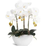 Ziwon Künstliche Orchideen in Keramiktopf, weiße künstliche Phalaenopsis-Orchideen als Tischdekoration, realistische Kunstblume in Vase, für Zuhause, Büro, Dekoration im Innenbereich