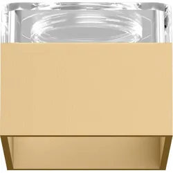 Box Inner Cover Champagner - Champagner - 911011M1