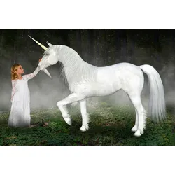 Fototapete PAPERMOON "Einhorn Hoffnung Liebe Frieden", bunt, B:3,50m L:2,60m, Vlies, Tapeten