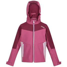 Regatta Eastcott Ii Softshelljacke - Violet / Ama Hz - 14 Jahre